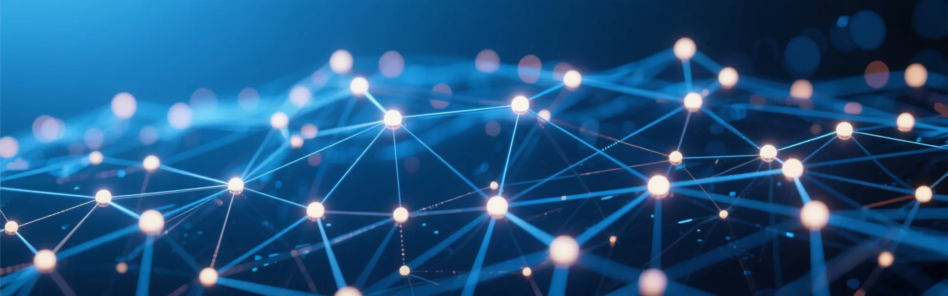 Data Network Background